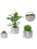 BLOMUS-bac à plantes GREENS Inox