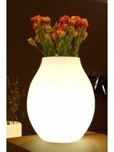 BLOOM! Bulb
