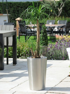 Pot de fleurs en inox Conique M