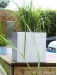 donaueur design