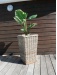 Cache pot
