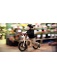 Early rider evolution 3