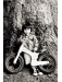 Early rider lite