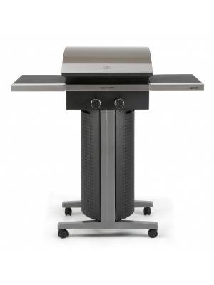 Barbecue gaz T GRILL + housse de protection offerte