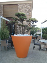 Pot Open Line bicolore taille L