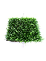 Gazon synthétique Green Touch Prairie Eco