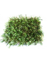 Gazon synthétique Green Touch Prairie Classic
