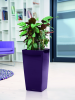 Pot Cubico Aubergine Ø 22 à 40 cm