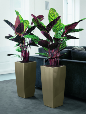 Pot Cubico premium Beige perle