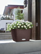 Pot Bacino Cottage 30 Moka Lechuza