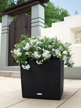 Pot Cube Cottage Noir
