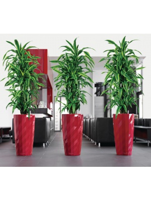 Pot Diamante rouge Ø40 cm à réserve d'eau