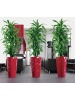 Pot Diamante rouge Ø40 cm à réserve d'eau
