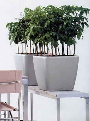 Pot Quadro premium Argent