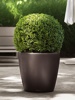 Pot Classico espresso Ø35 cm