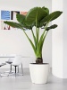 Pot Classico blanc Ø35 cm