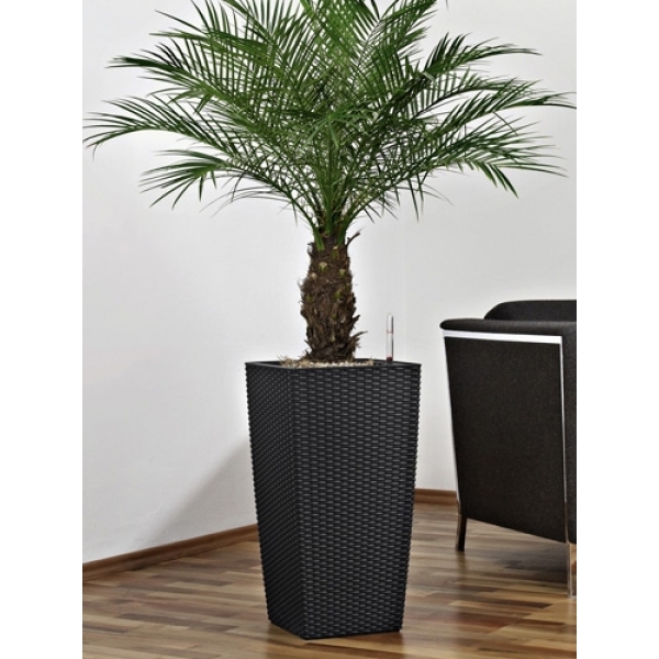 Pot Cubico Cottage Noir 