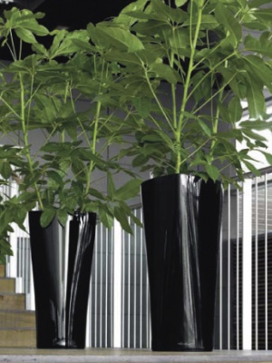 Pot Delta premium Noir