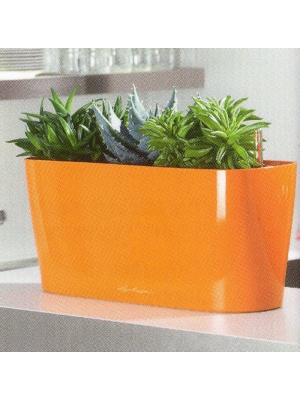 Mini-jardinière Delta 20 orange
