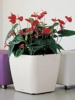 Pot quadro blanc Ø 21 à 50 cm