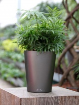 Pot Lechuza Deltini gris anthracite Ø14 cm