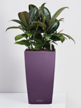 Pot de table Maxi Cubi Ø 14 - 9 coloris