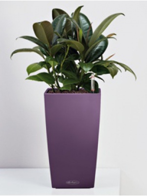Pot de table Maxi Cubi Ø 14 - 9 coloris