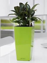 Pot Lechuza Mini Cubi vert pomme