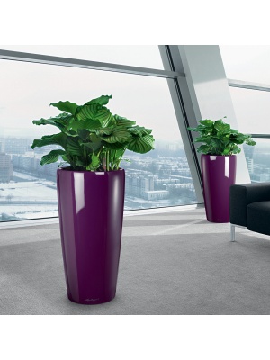 Lechuza Rondo 40 Aubergine kit complet