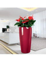 Lechuza Rondo 40 Rouge brillant kit complet