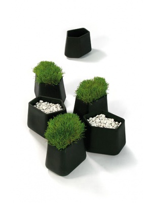 Pot Rock Garden small Qui Est Paul ?