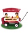 Radio Flyer