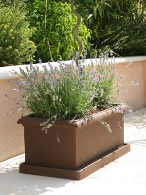 Bac Epure rectangle chocolat Riviera