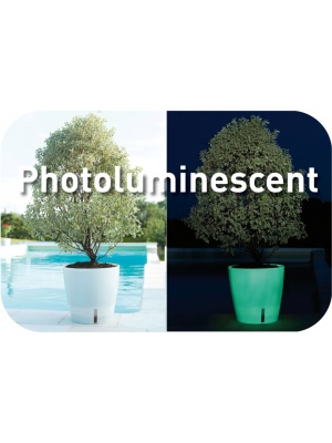 RIVIERA - Pot Luciole photoluminescent