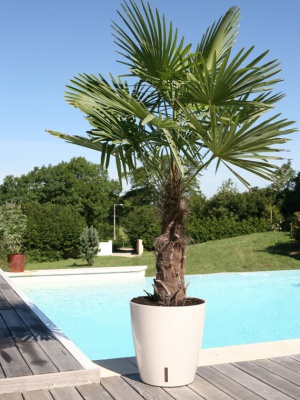 RIVIERA - Pot EVA blanc nacré