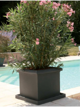 Bac Riviera Epure carré gris