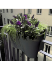 Jardinière de Balcon Steckling Duo Graphite