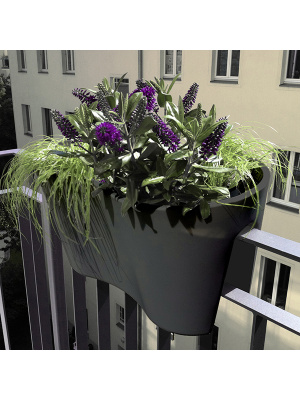 Jardinière de Balcon Steckling Duo Graphite