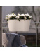 Jardinière de balcon Steckling