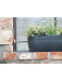 Jardinière pour Rebord de Fenêtre Windowgreen Graphite