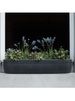 Jardinière pour Rebord de Fenêtre Windowgreen Graphite