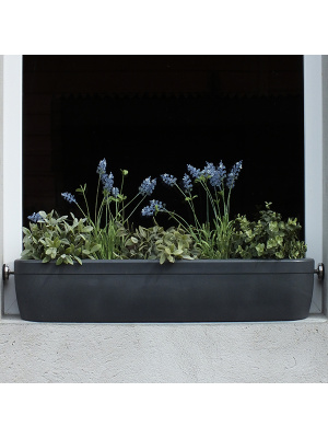 Jardinière pour Rebord de Fenêtre Windowgreen Graphite