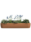 Jardinière pour Rebord de Fenètre Windowgreen Terracotta