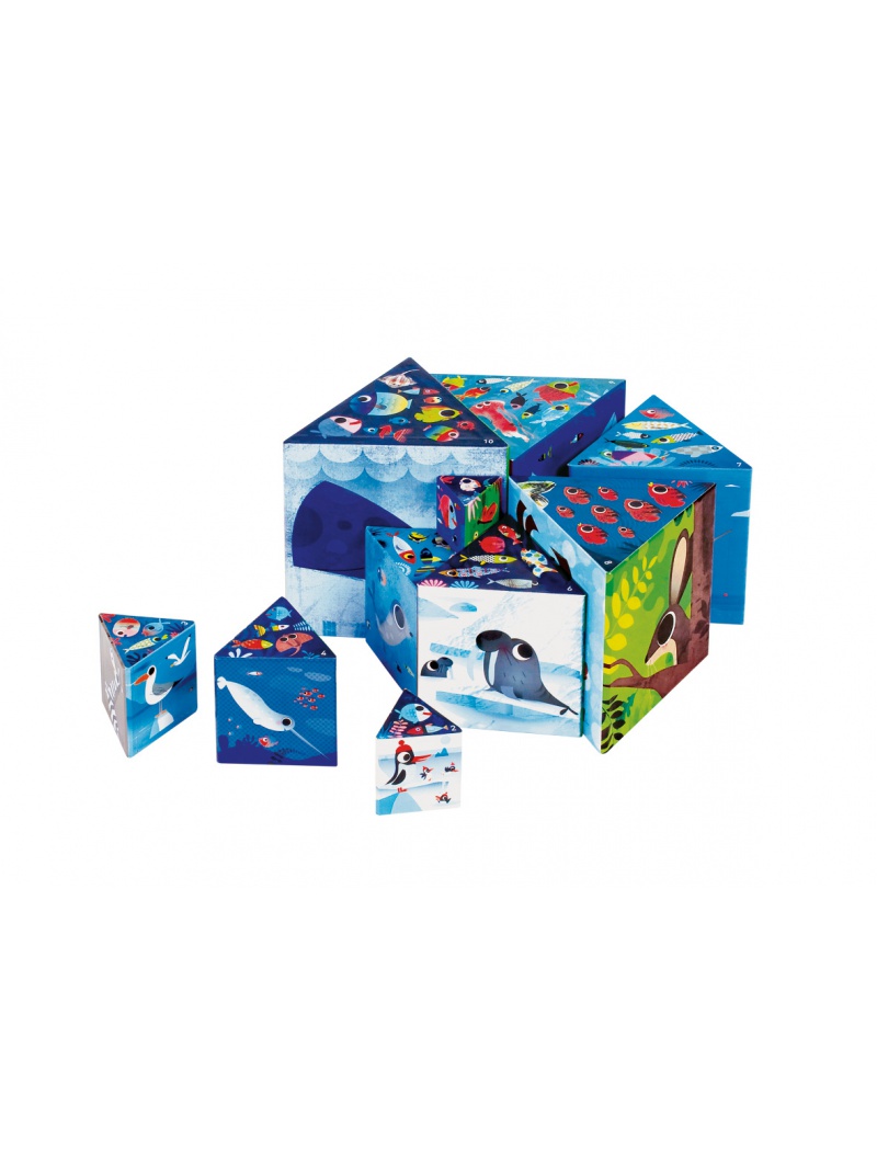 Pyramide triangle Les animaux du monde