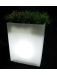 Jardiniere lumineuse 3