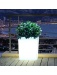 Jardiniere lumineuse