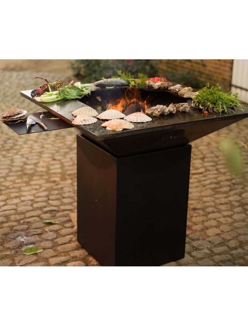 Bio-blaze Barbecue BQII Carré Charbon de bois