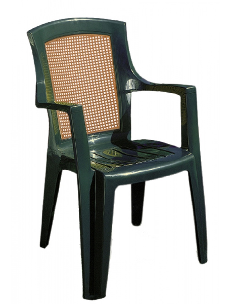Alpina Garden  Fauteuil de jardin en plastique vert Viola Wood