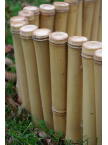 Bordure Tradition bambou naturel régulier Bira