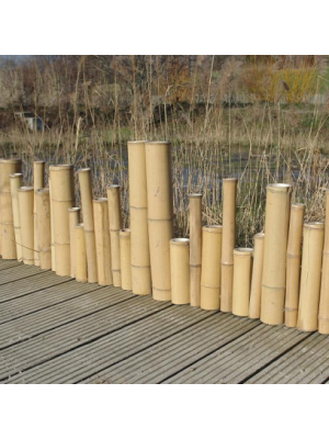 Bordure Zen bambou naturel irrégulier Xiao